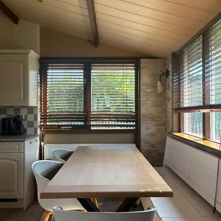 Rekerlanden 218 By Zilt Ferienhaus *